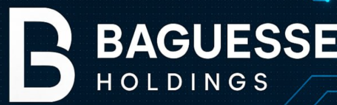 Baguesse Holdings